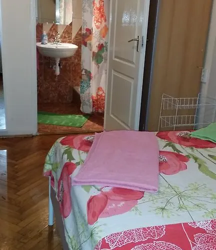 招待所 瓦伦蒂娜旅馆 *